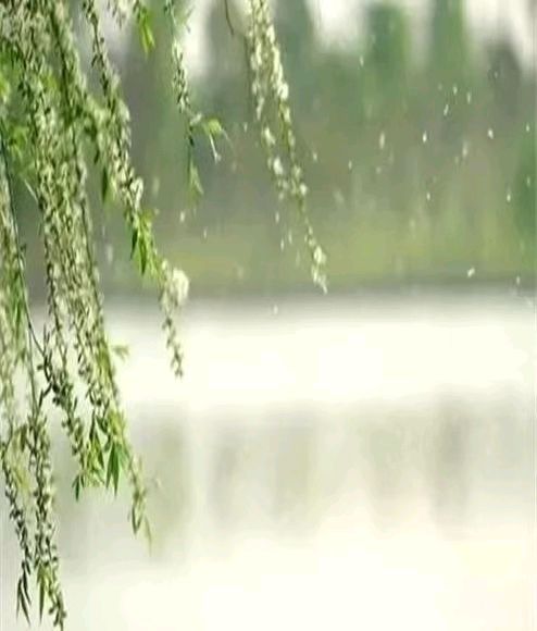 【荣耀中国】文学社*七绝·桃花春韵仇元青（泰安）（图4）
