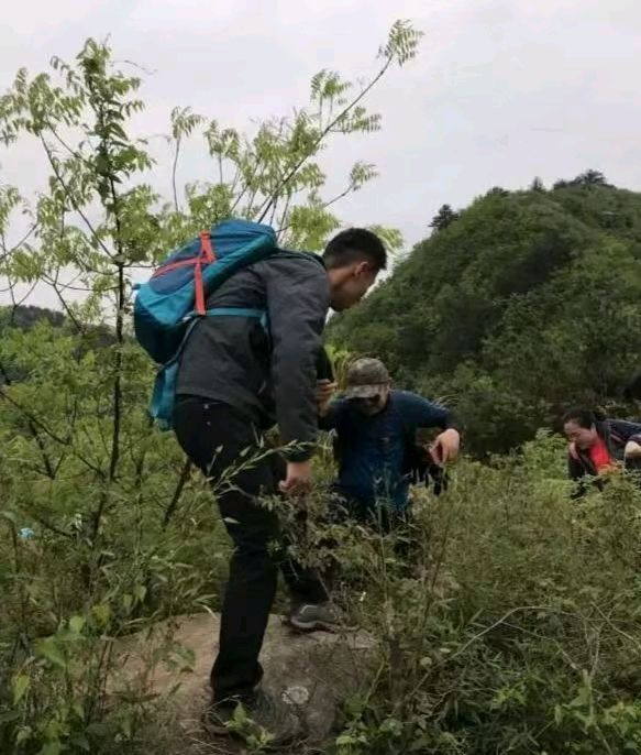 【荣耀中国】文学社*七绝·桃花春韵仇元青（泰安）（图5）