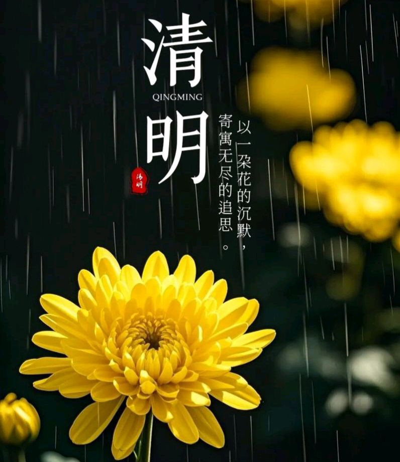 【七律】《清明归乡祭祀圆墓》作者: 强天政/陕西宝鸡·2026年4月4日