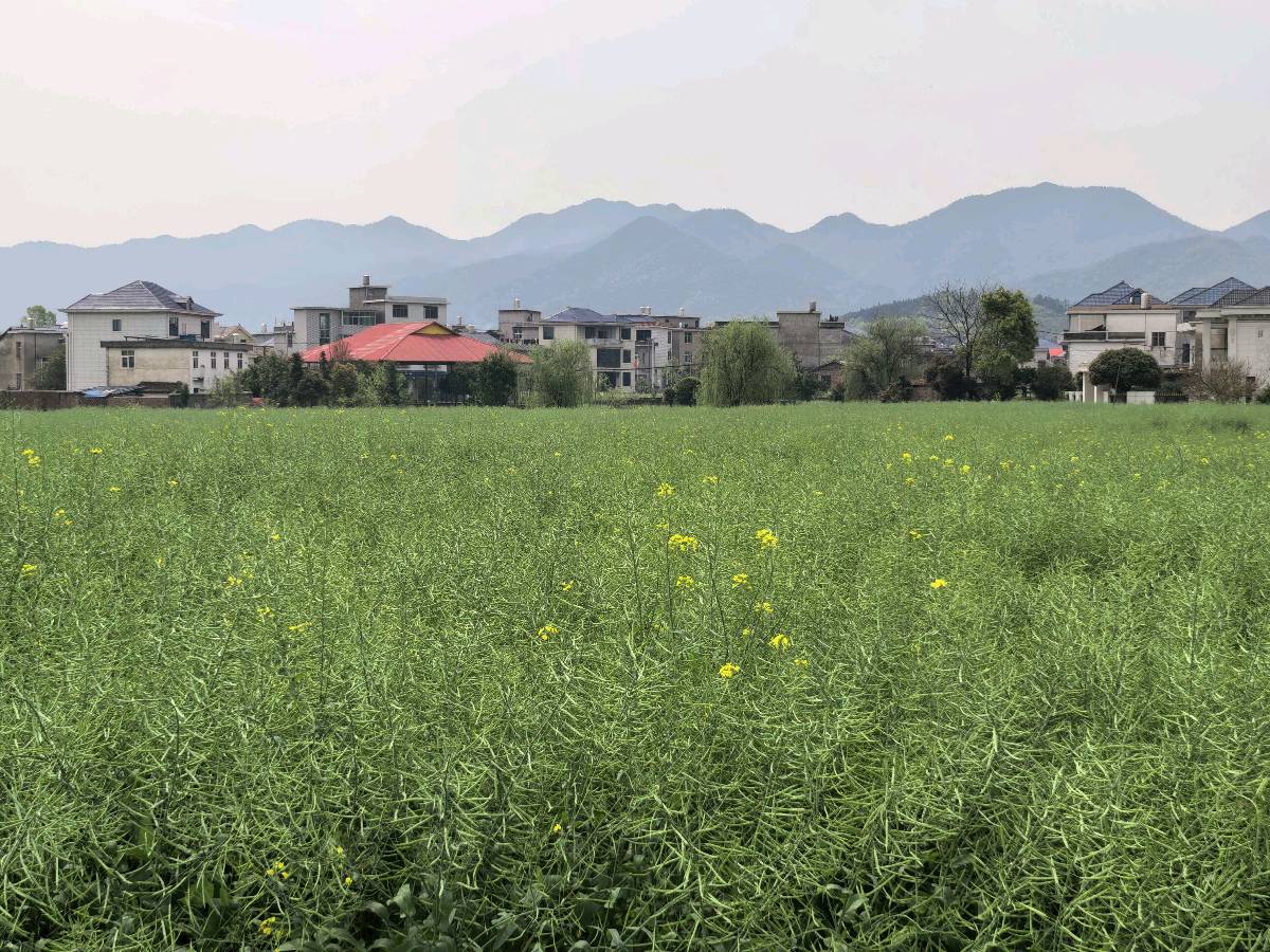 清明三题