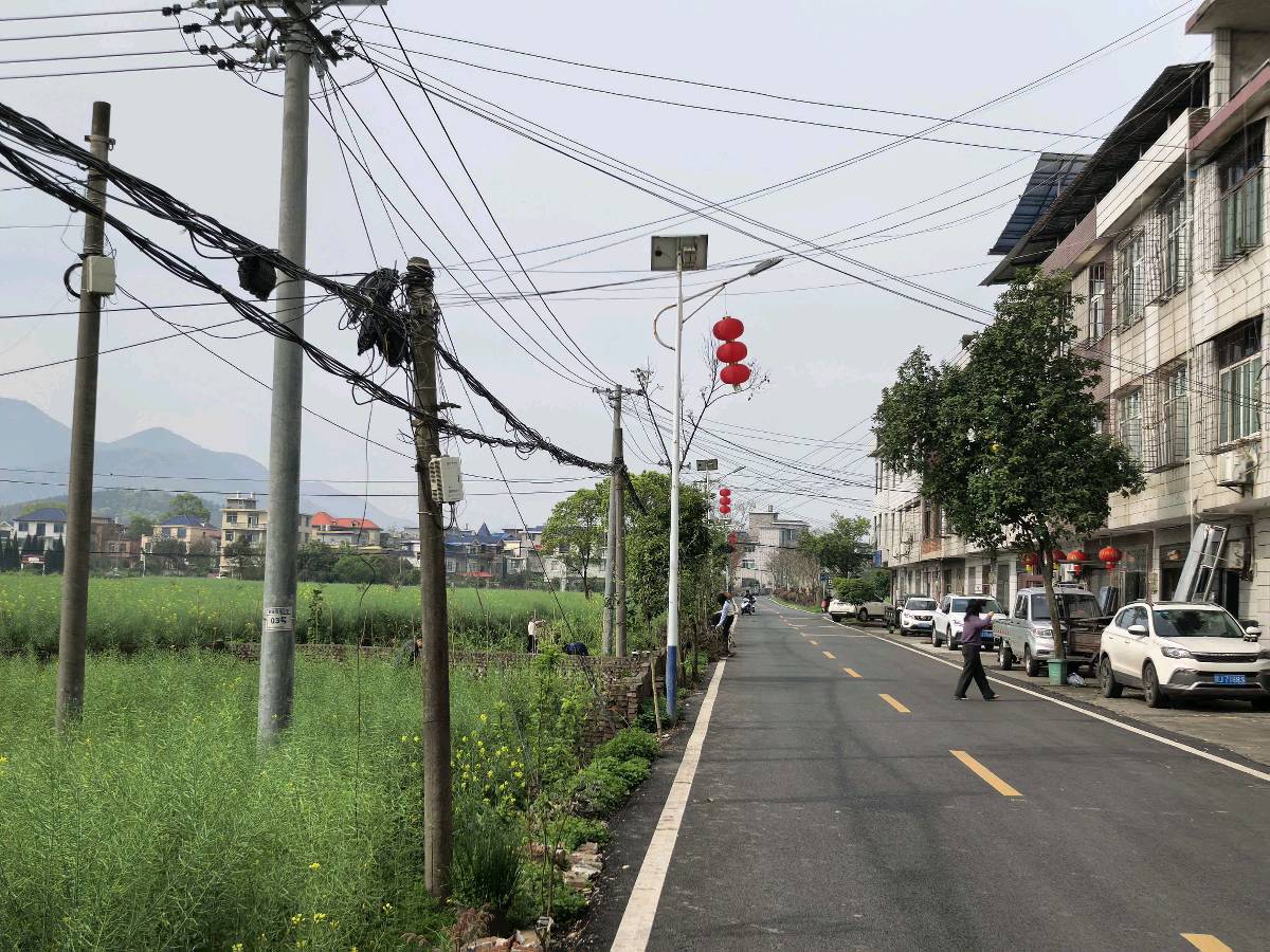 清明三题(图5)