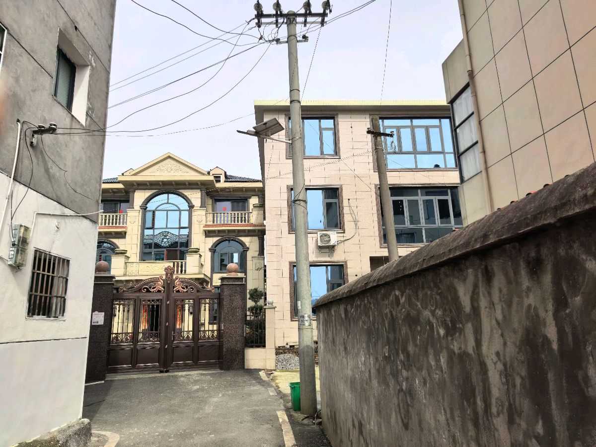 清明三题(图7)