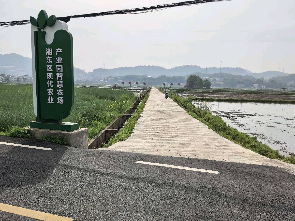 清明三题(图12)