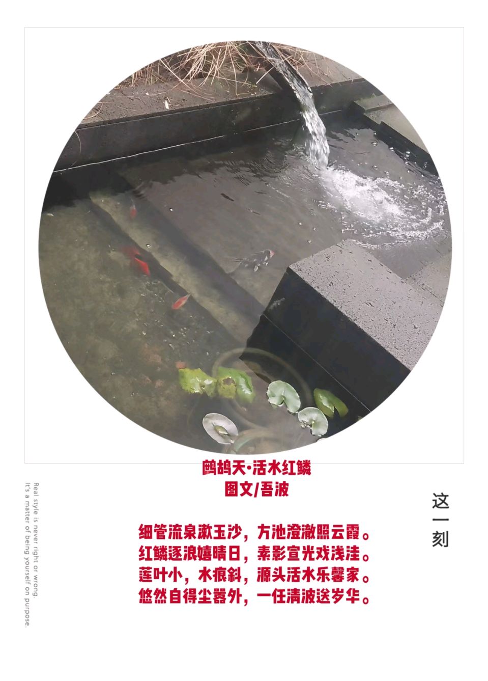 【诗生活】古韵飘香第308期（图7）