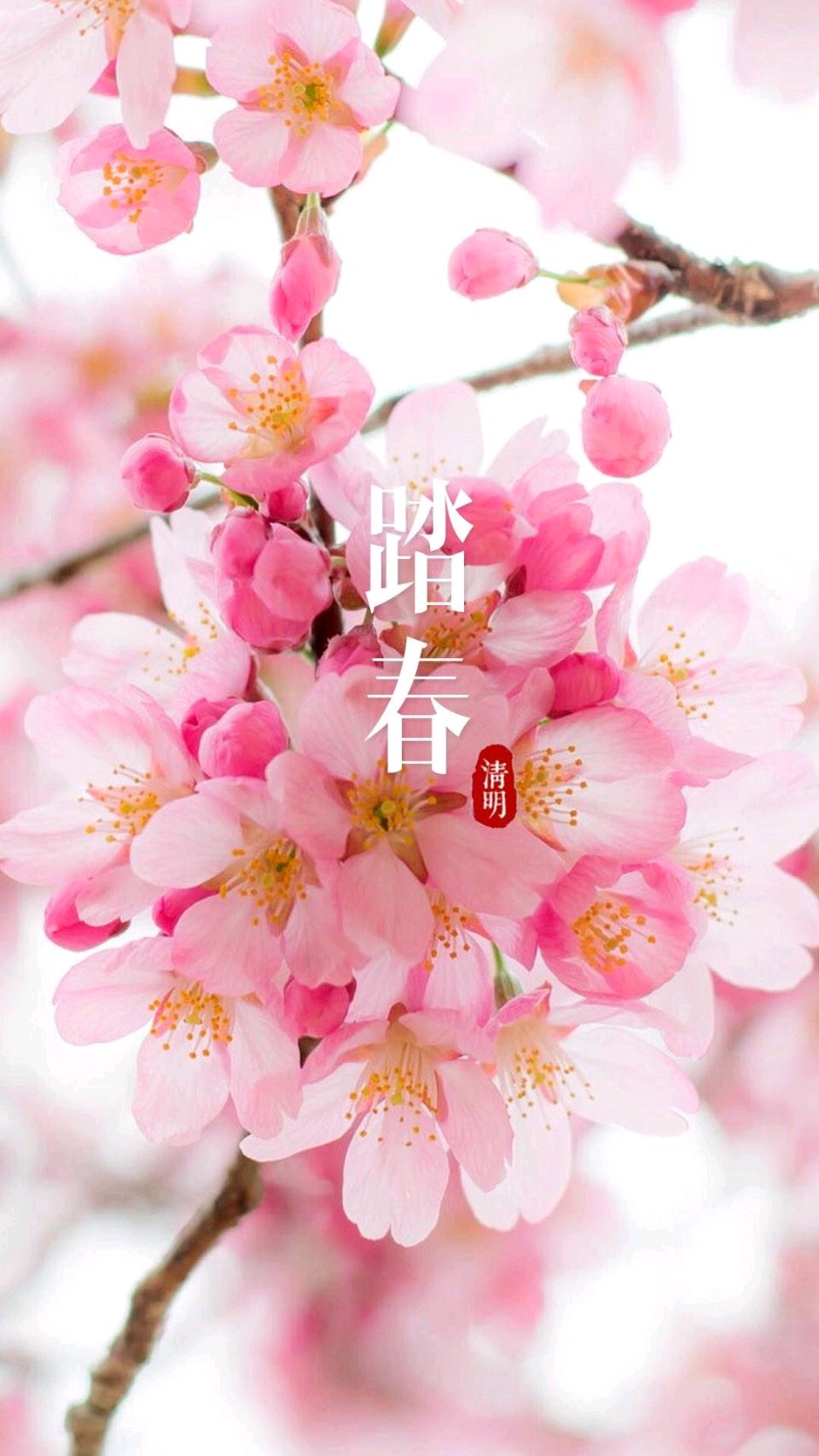 【故道文化·古诗·8528】姜金勇诗作二首（图3）