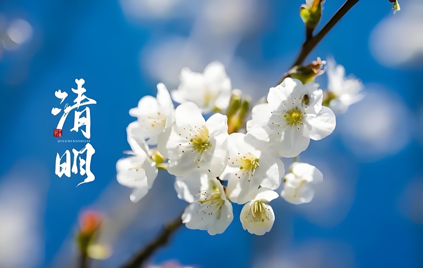 海外头条：乡音的作品《清明又至思未央》（图8）