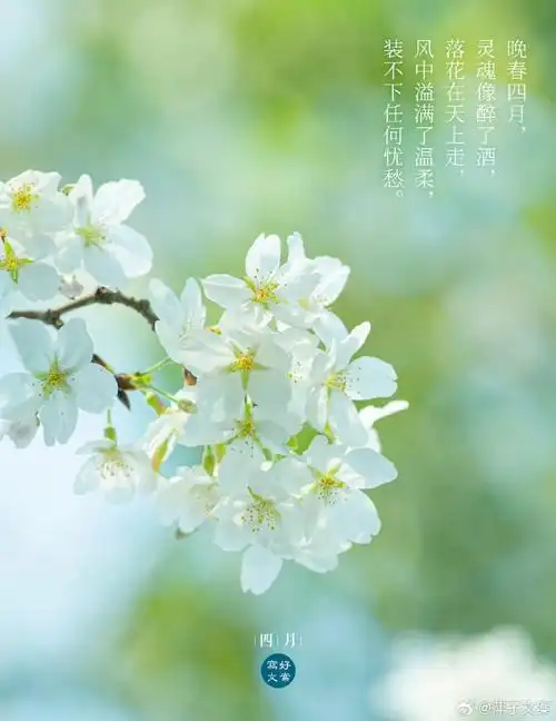 聆听 ‖ 刘子冰朗诵《忽略》作者/阿紫（图4）