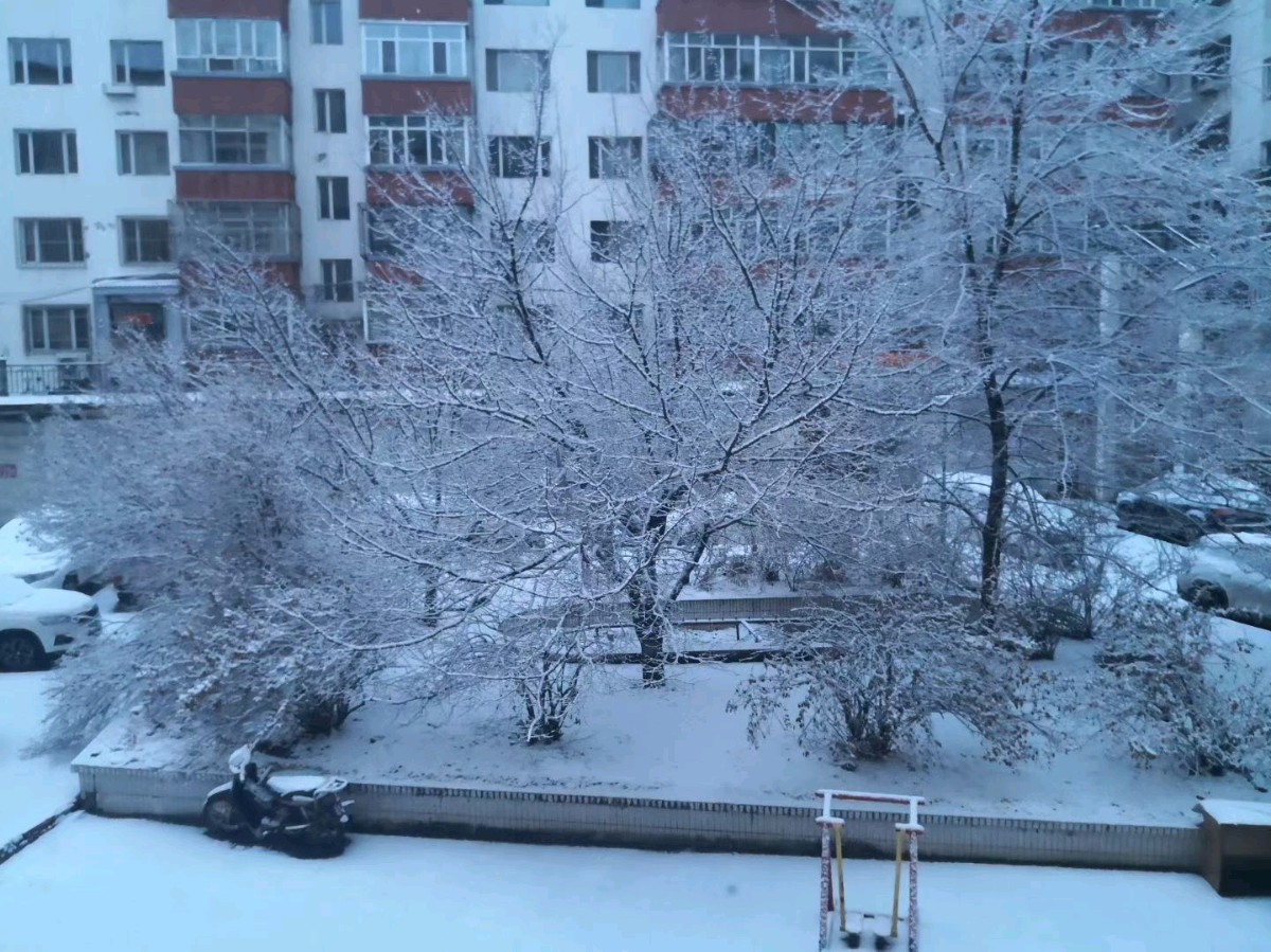 鹤岗第二场春雪:落满人间的温柔与希望