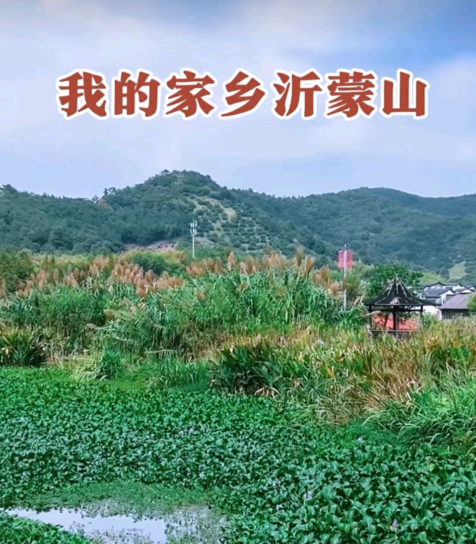 《谁不说咱家乡好》文/姚文礼（图12）