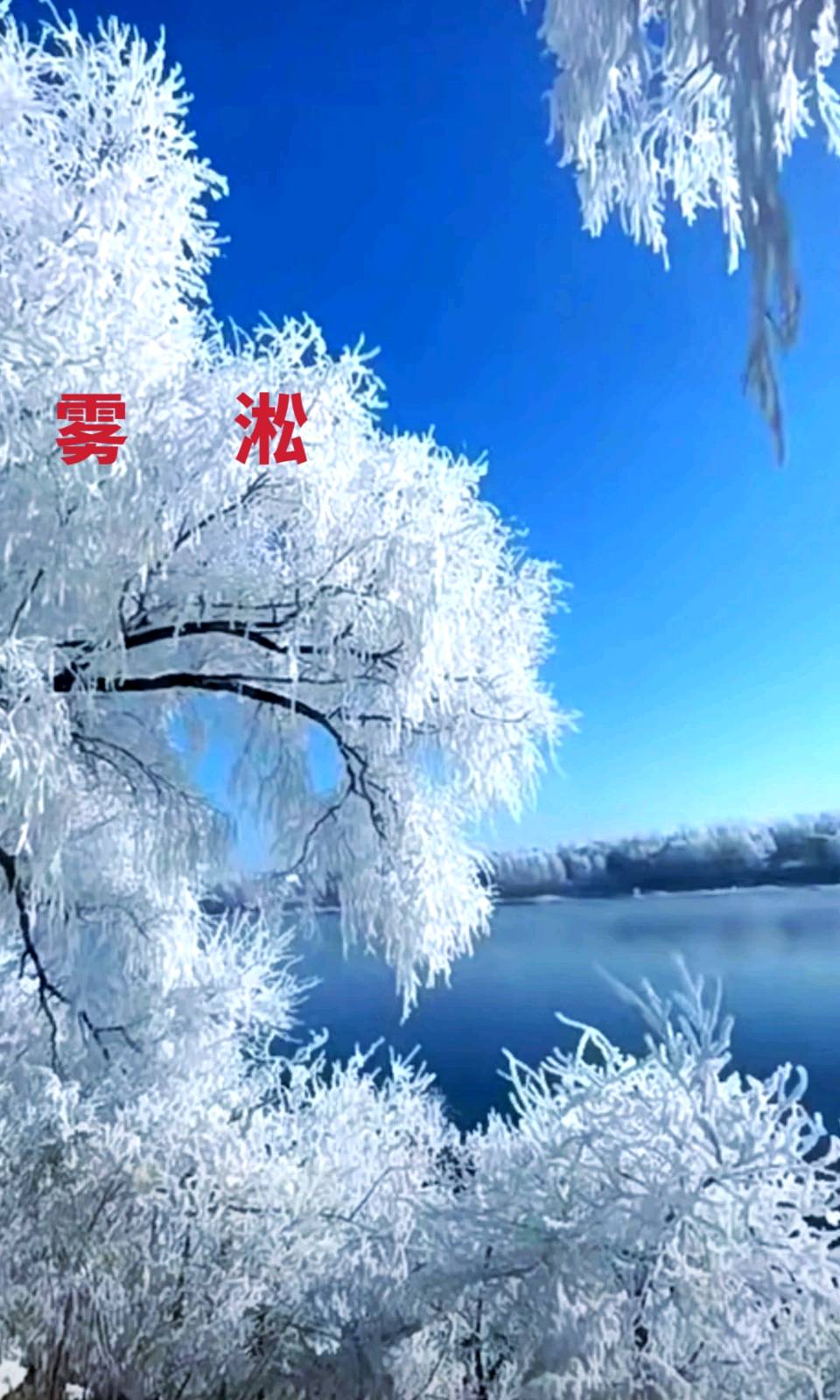 雾凇（外一首）李耀文（辽宁）（图23）