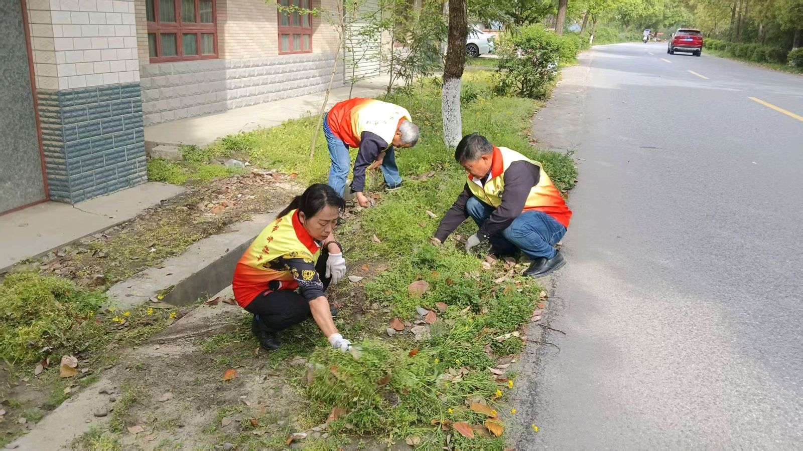 环境整治靓村落 志愿除草显担当（图2）