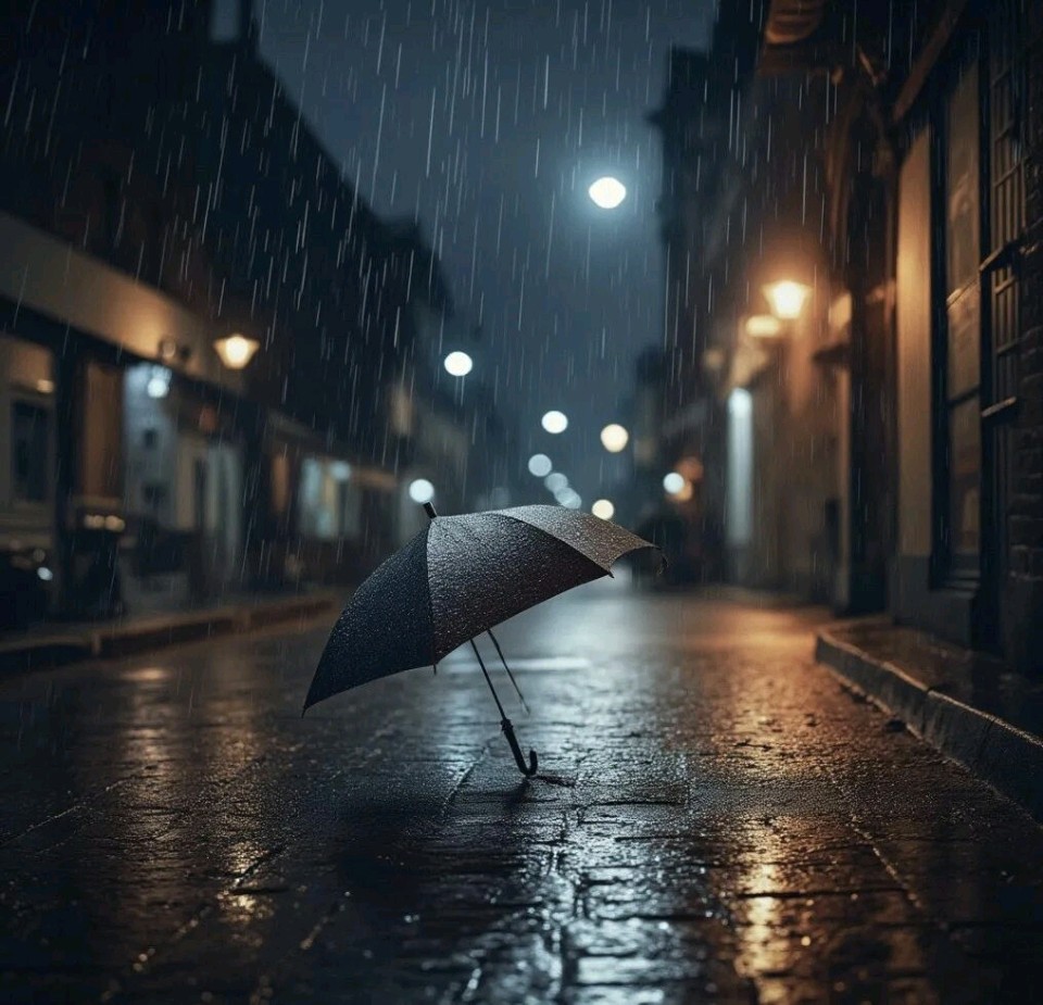 2900.雨续唠叨文/林水火（福建）（图3）