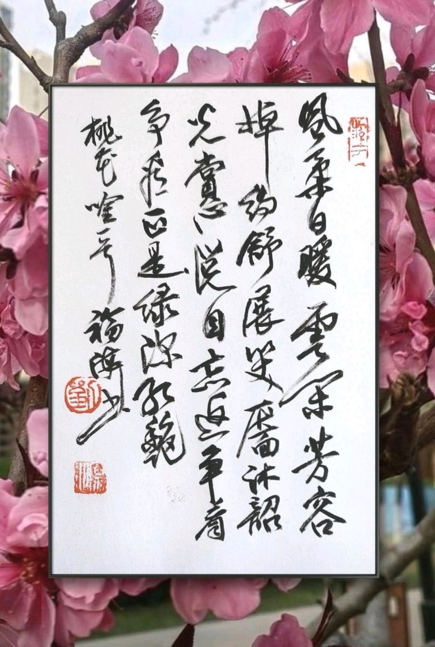 如梦令. 桃花吟🌸