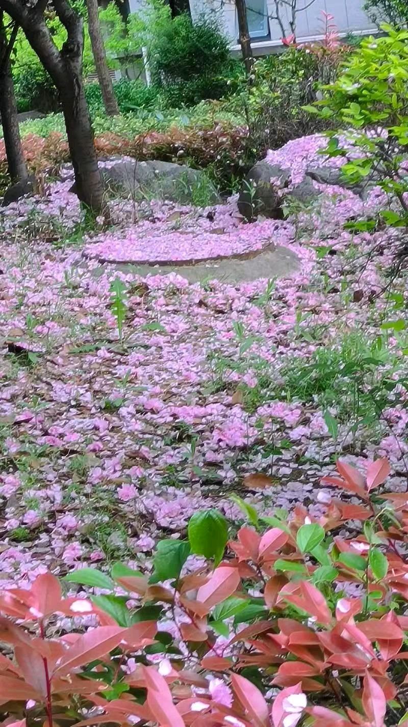 【荣耀中国】文学社*七律•季春（三首）平水韵文/吴加林（江苏盐城）（图3）