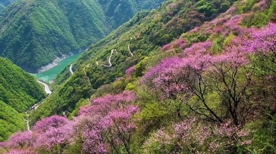 【荣耀中国】文学社*七律·清明雷阵雨李德政（安康）（图4）