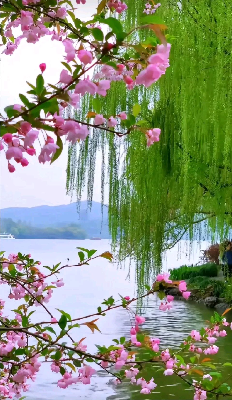 鸿鹄高飞：交 地 古 道 （外一首）