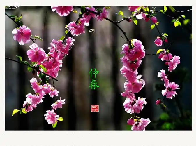 【国风燕赵诗社】李平来老师格律诗与您共享！《北京头条》（五）（图14）