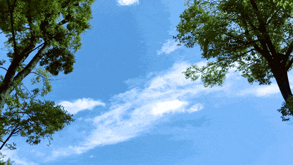 诗意传情诗社【你好】文‖海边漫步 诵‖静秋（1898）（图5）