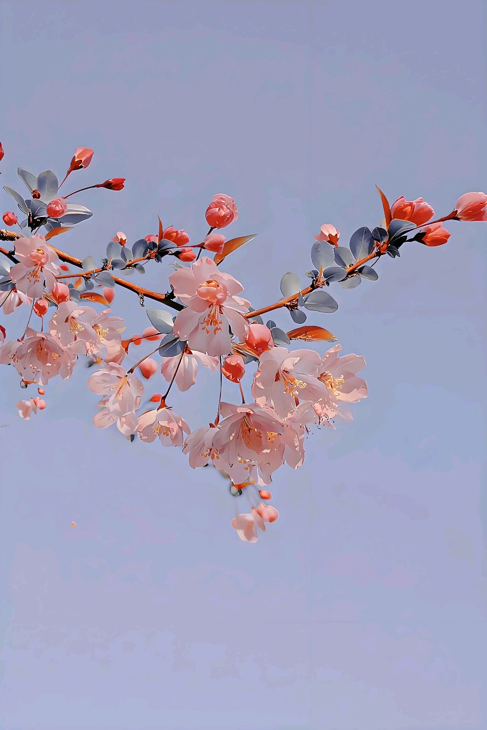 聆听 ‖ 同题诵读《走向四月的殿堂》作者/五彩云霞 朗诵/北京古塔读书会朗读者（图8）