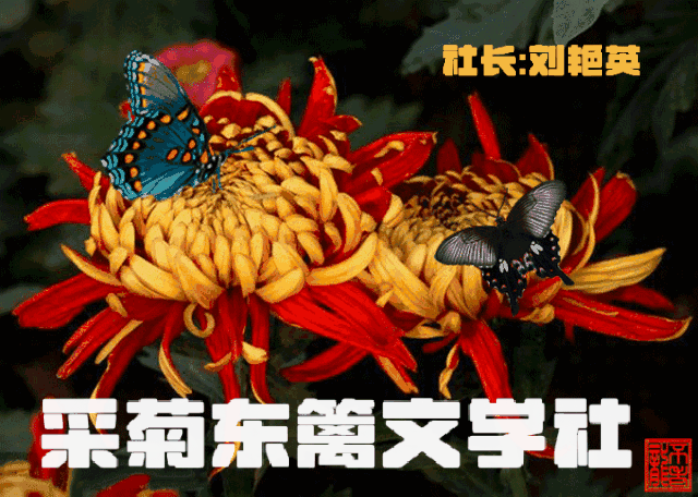 名家精作《那段戎装闪现的新兵连》文/杨成民（黑龙江）编辑制作：段广亭【都市头条采菊东篱文学社】（图2）
