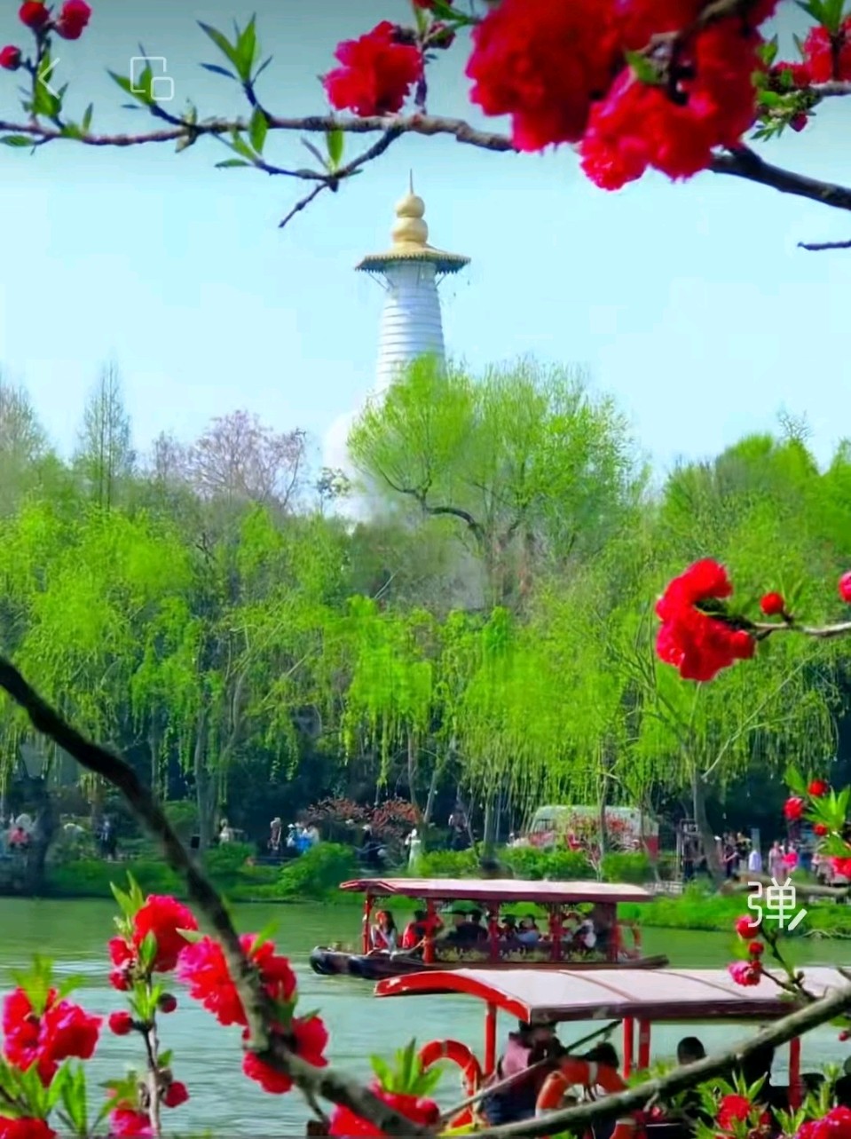 【荣耀中国】文学社*七律 桃花闹春江（中华通韵押熬韵 平水韵押萧韵）作者王天波（图5）