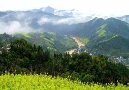 【荣耀中国】文学社*七绝·春游凤凰湖仇元青（泰安）（图4）