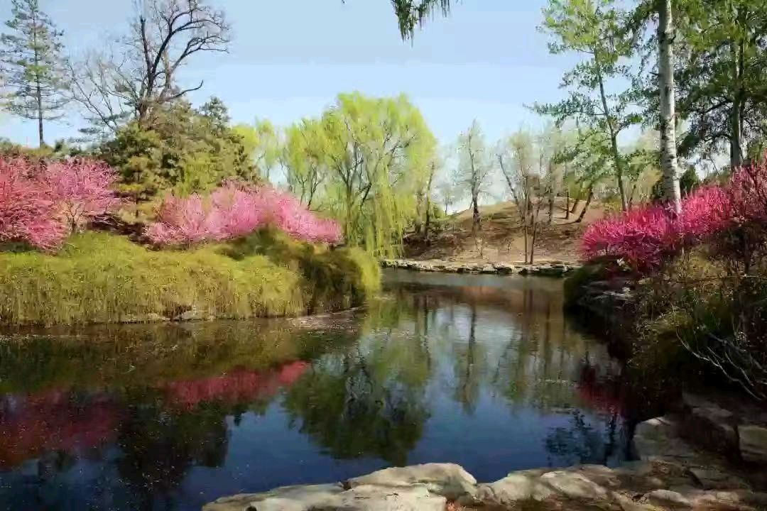 【荣耀中国】文学社*七绝·春游凤凰湖仇元青（泰安）（图3）