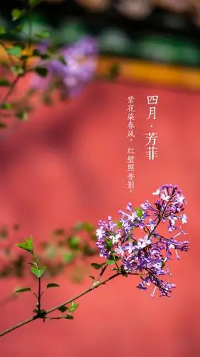 丁淑云：2026.03诗歌集锦||巴彦诗协【1131】（图12）