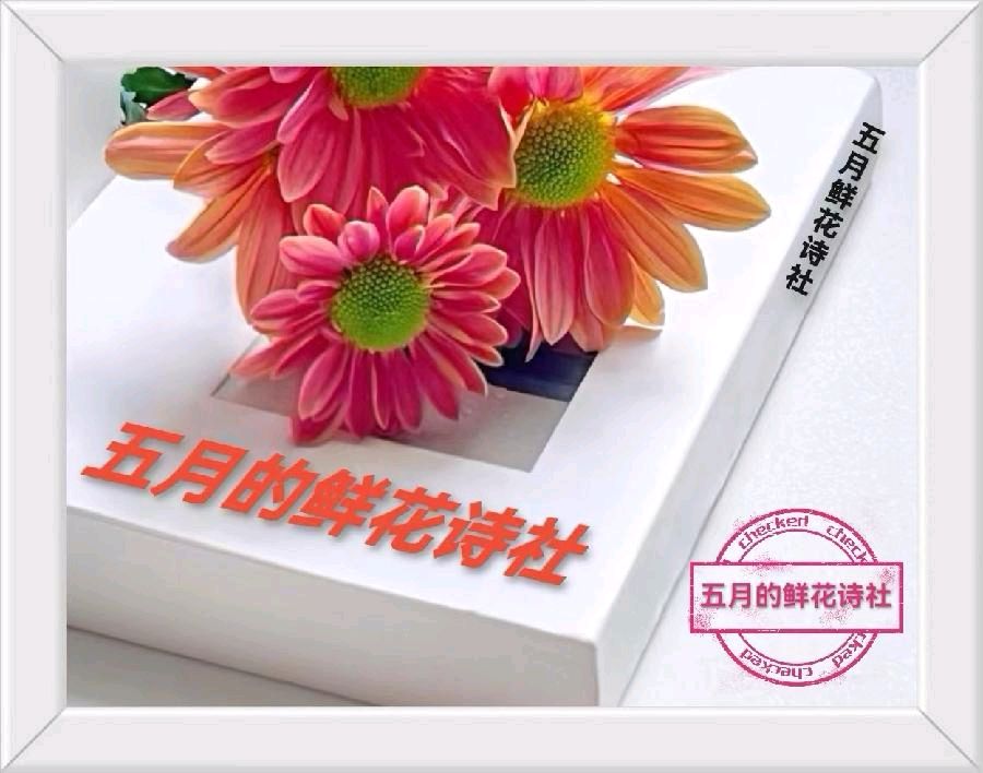 【五月的鲜花诗社】诗人&朗诵者刘文志诗歌作品《母亲的雪花》 编辑制作刘林丽