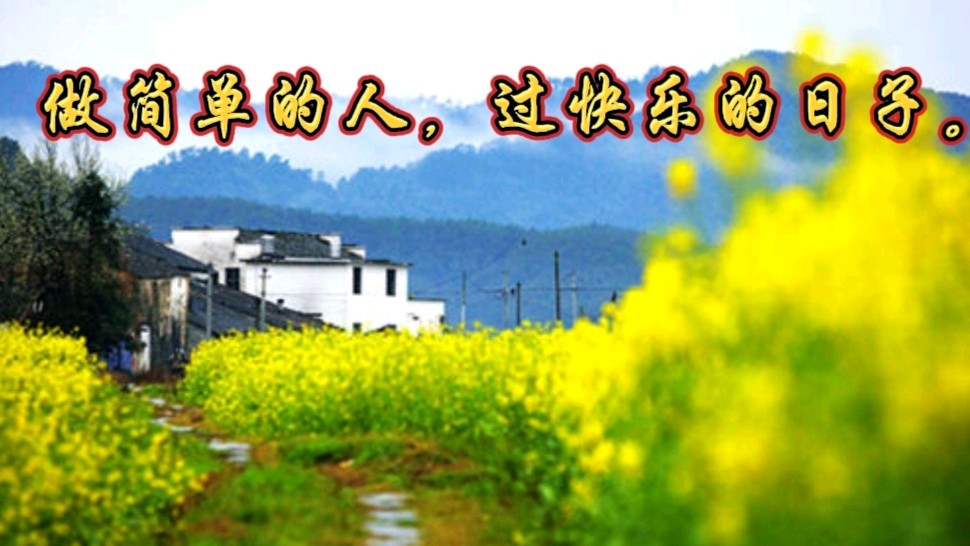 《九江文学社：北京头条》雪吻油菜花（外一首）作者/杨柳风