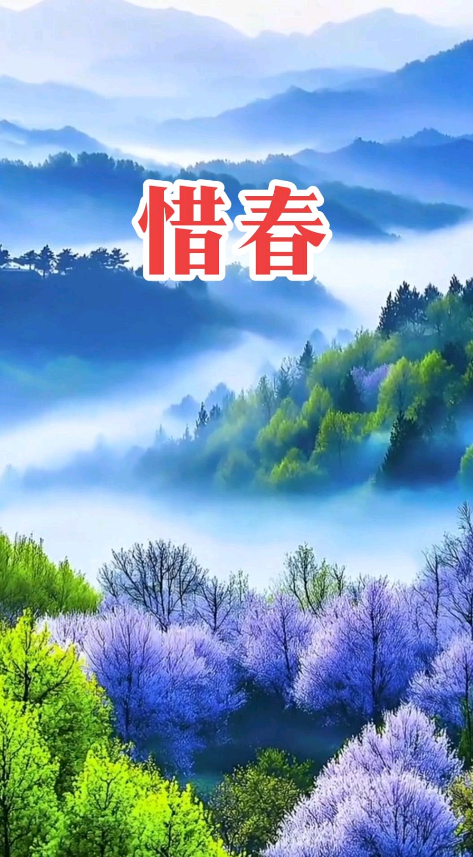 七律-惜春～白小文（福建）（图11）
