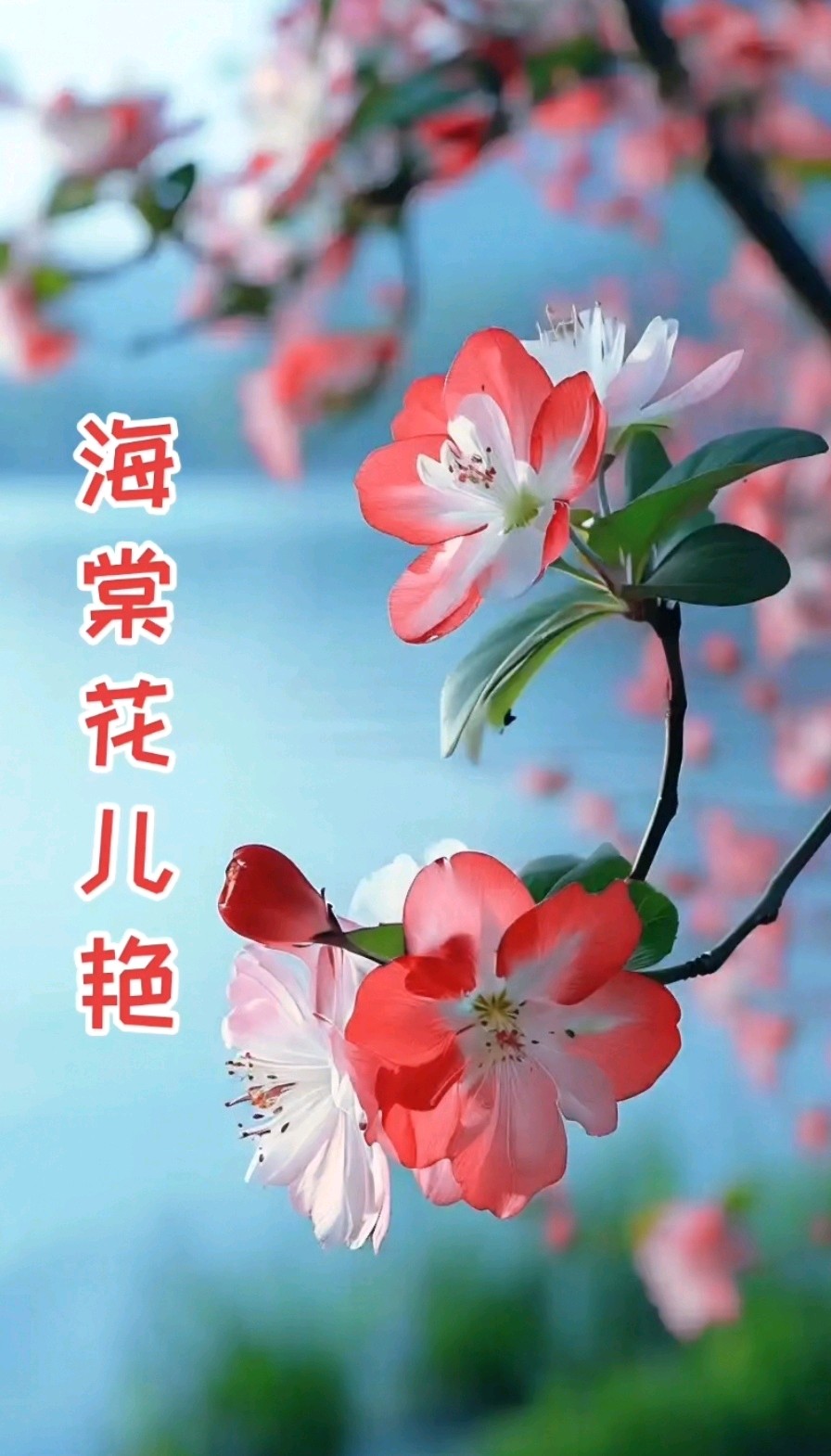 七律-惜春～白小文（福建）（图16）