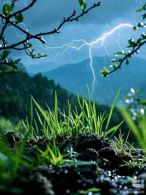 开心诗词文学社 ||《茶乡喜雨》|| 作者/乡音（湖北）（图2）