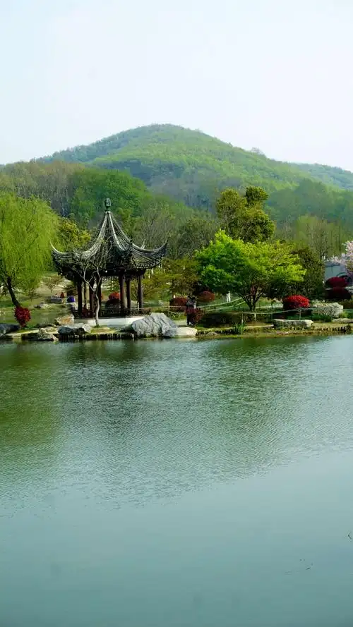 【老丫文苑】张国盛//五绝 南山觅爱天//（广东）（图2）