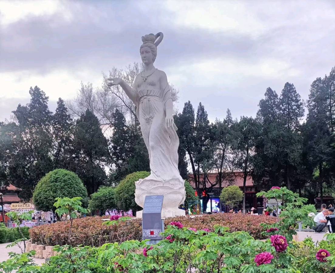 韭菜有什么可耻