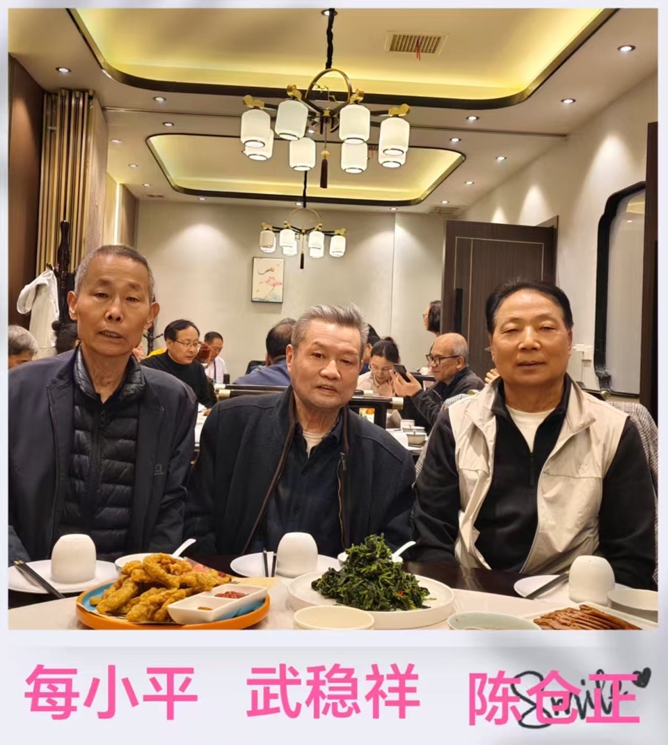 【诗词中国】精品佳作《少陵原飞出金凤凰》作者:武稳祥(图25)