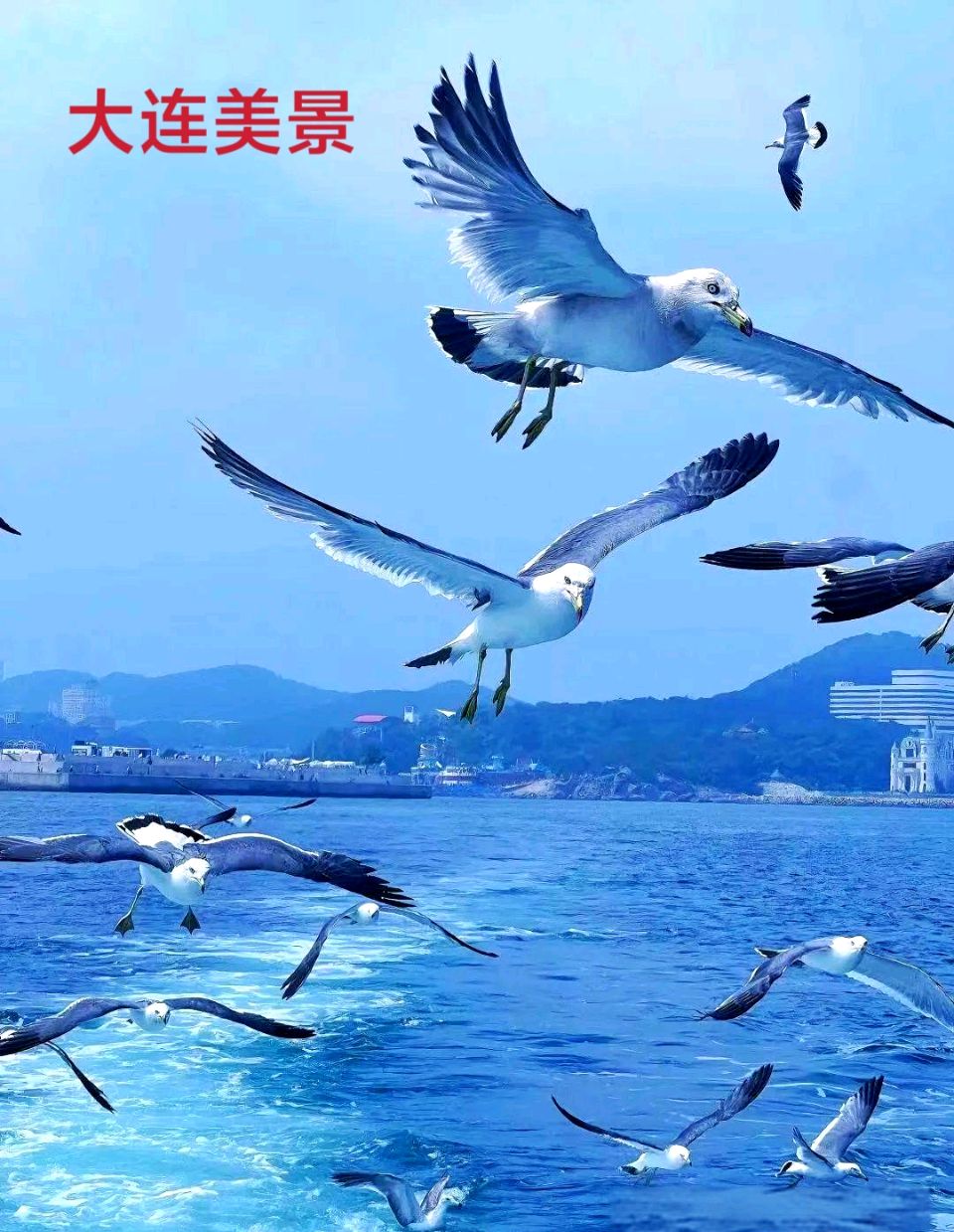 最美大连～李耀文（辽宁）（图34）