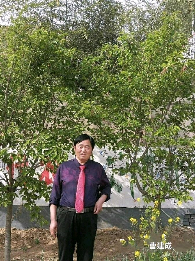 曹建成（河南）诗词三首（图6）