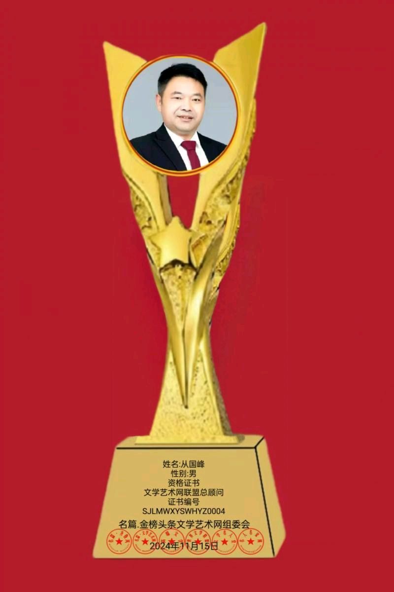 《中华好诗词》隆重推出(河南)优秀演讲家诗人从国峰先生诗、文四首(篇)敬请欣赏(图17)