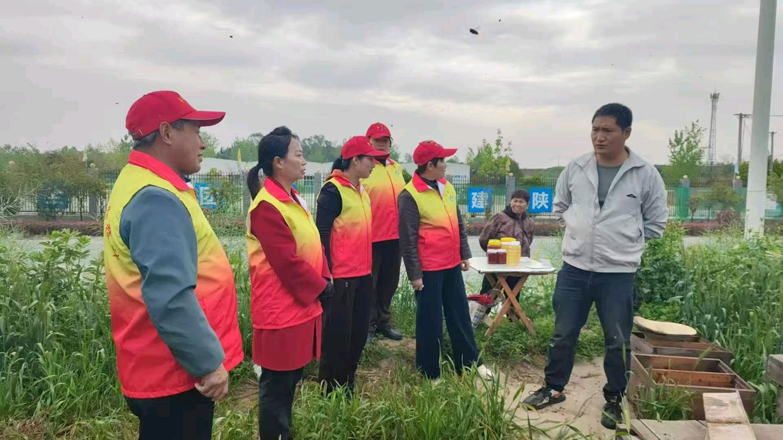 志愿走访蜂产业 同心绘就甜蜜图（图3）