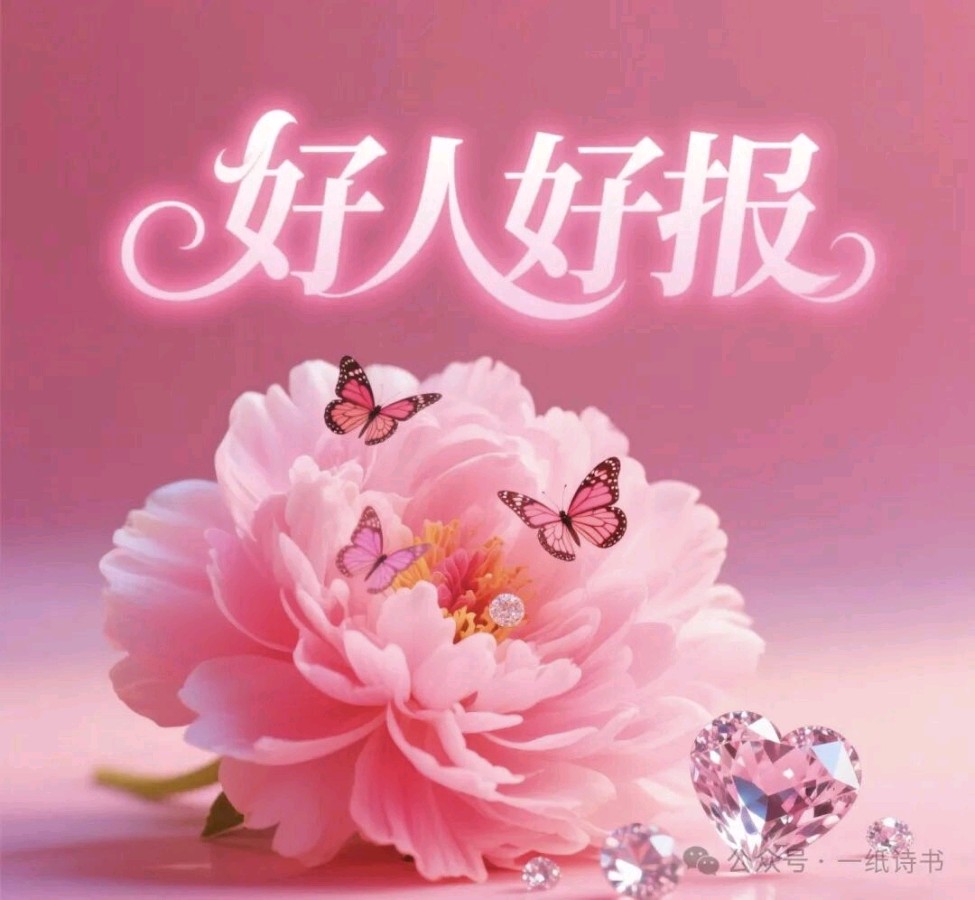 《感谢上苍》文/路荣花（图3）