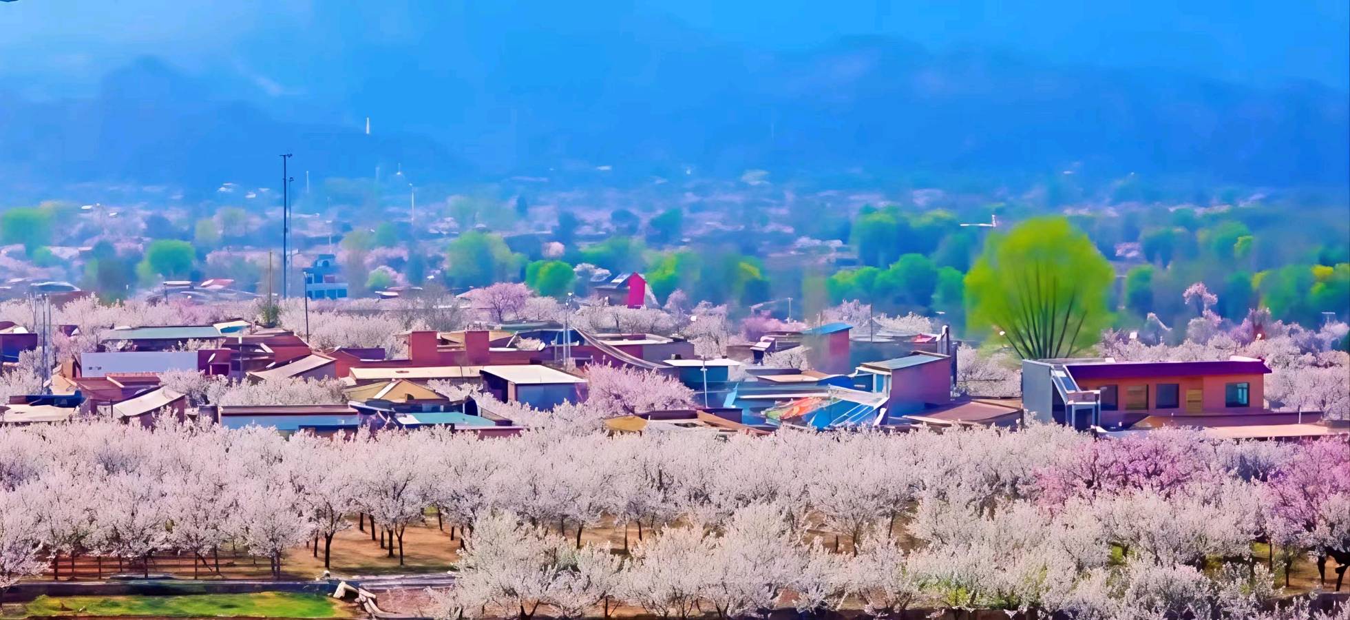 🇨🇳【中国诗人】第1353篇（名家风采）唐汪杏花赋//文：海宇玛（图6）