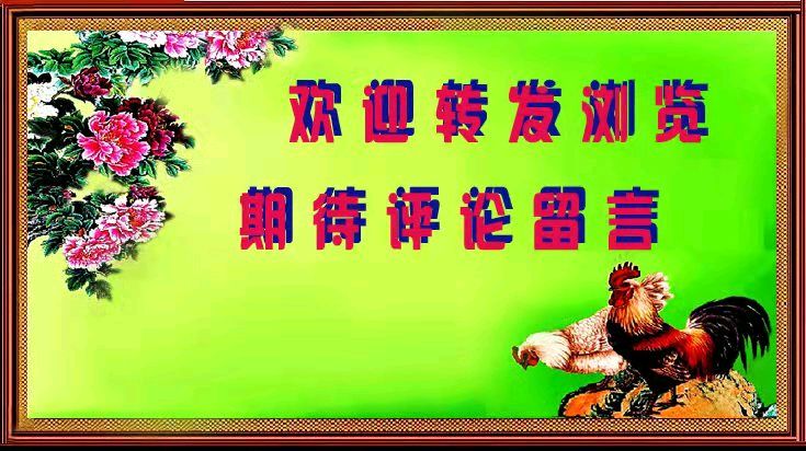 草原雄鹰诗社2026笫11期精美小诗作品展播《残梅》作者/草原雄鹰诗社诗人——诵读/焦丽萍（图2）