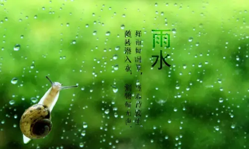【昊昊海峡新干线副刊】新年 不负昭华逆风而行/雨水节气在南方（作者：昊昊/中国台湾）……莲叶之珠文学社（图4）