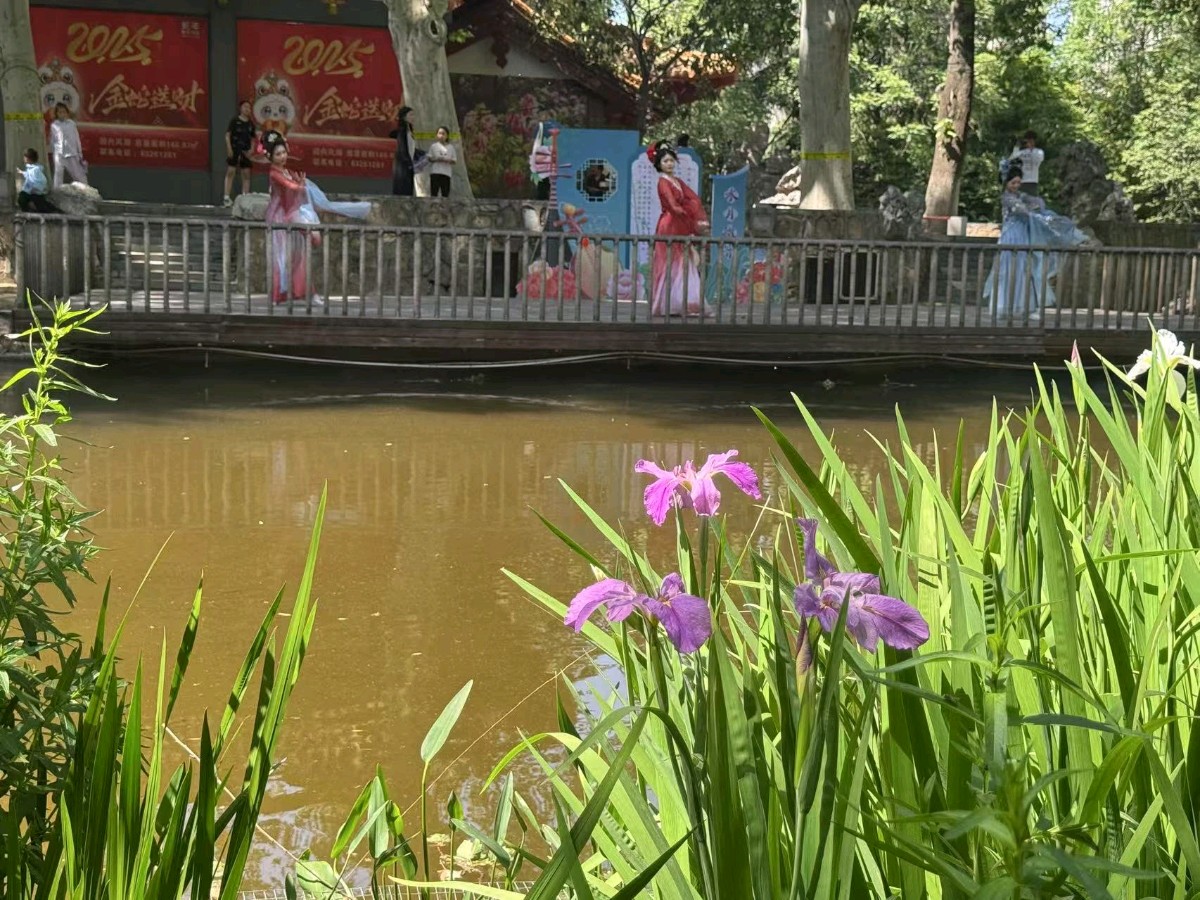 公园作者：李献彬（图6）