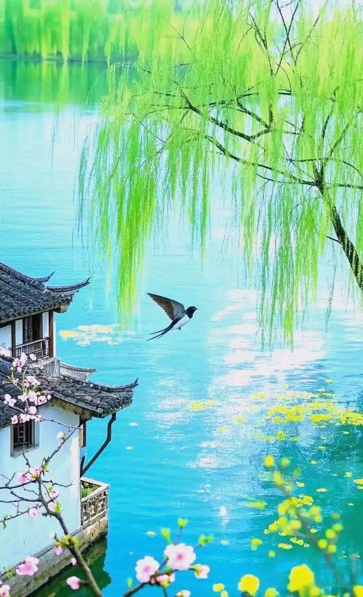 聆听 ‖ 刘子冰朗诵《享受孤独锤炼意志》作者/马文振（图7）