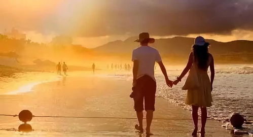 《爱的旋律》词/乡土娃 歌曲制作，木槿花开（图4）