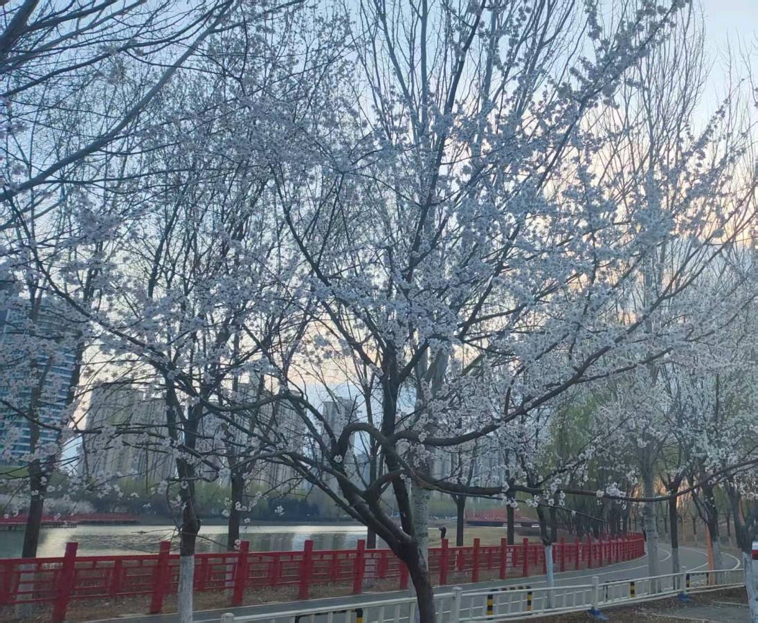 【都市精英文学社】题图诗.留住春天文/徐森林（图5）
