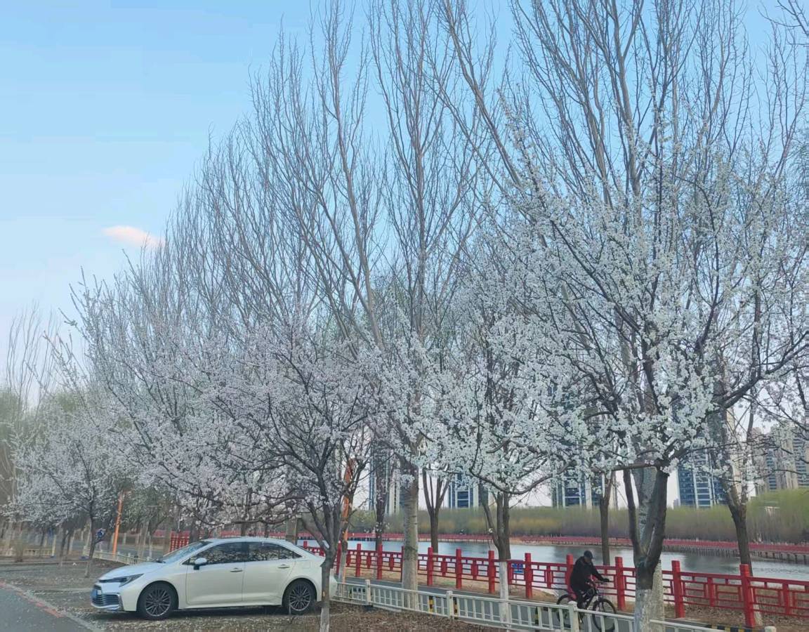 【都市精英文学社】题图诗.留住春天文/徐森林（图6）