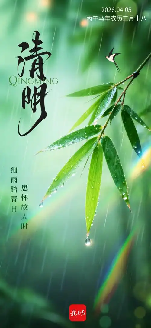 【新山东文学社】《清明心悟》作者/迷恋深秋 主播/笑笑(图5)